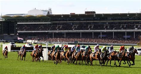 cheltenham oddschecker|Best Free Bets for Cheltenham 2024 according to oddschecker.